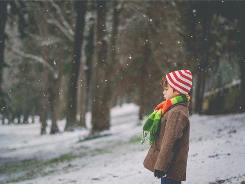 不兼容造句,用不兼容怎么造句子(33句)