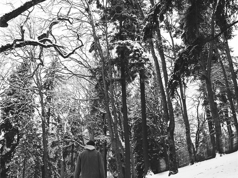 八公造句,用八公怎么造句子(58句)