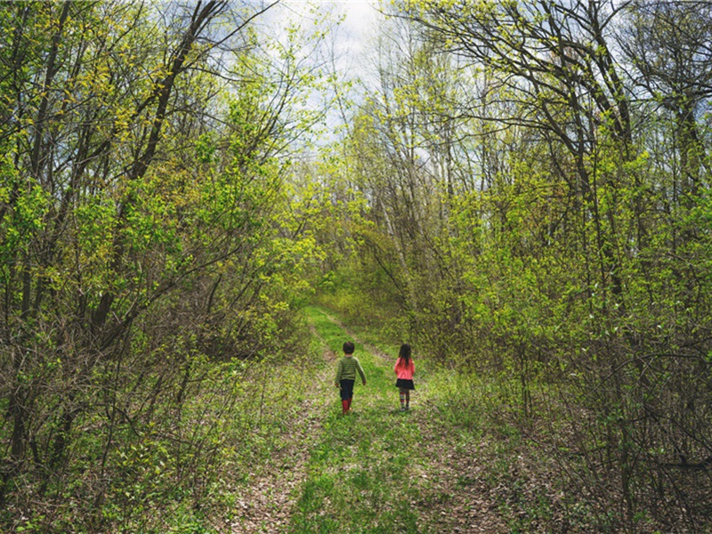 百分之百造句,百分之百怎么造句子(134句)