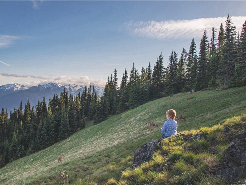 本帖造句,用本帖怎么造句子(165句)