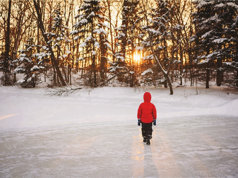 种瓜得瓜,种豆得豆造句,种瓜得瓜,种豆得豆怎么造句子(54句)