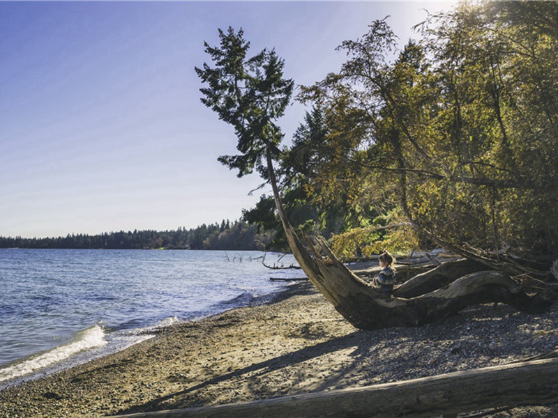 逼她造句,用逼她怎么造句子(23句)