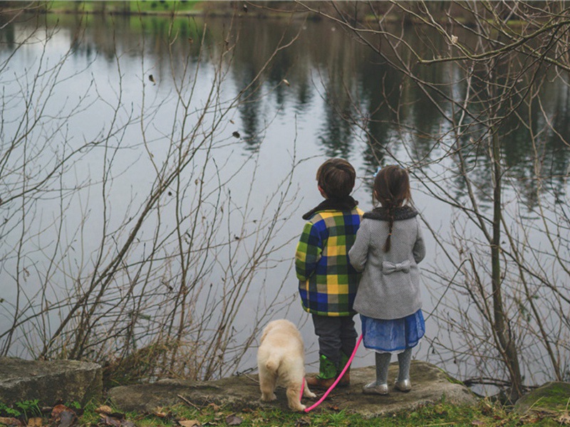 温补造句,用温补怎么造句子(100句)