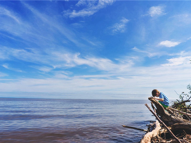 重温造句,用重温怎么造句子(180句)