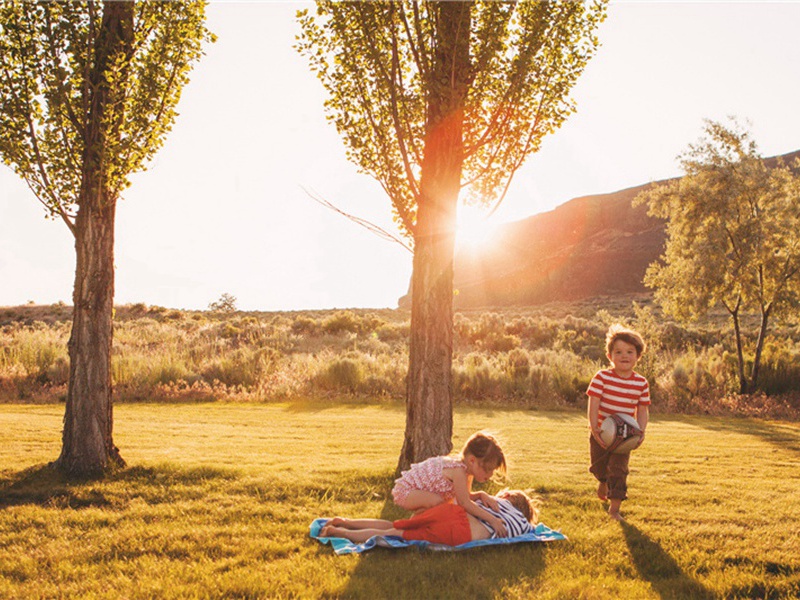 弥补造句,用弥补怎么造句子(180句)