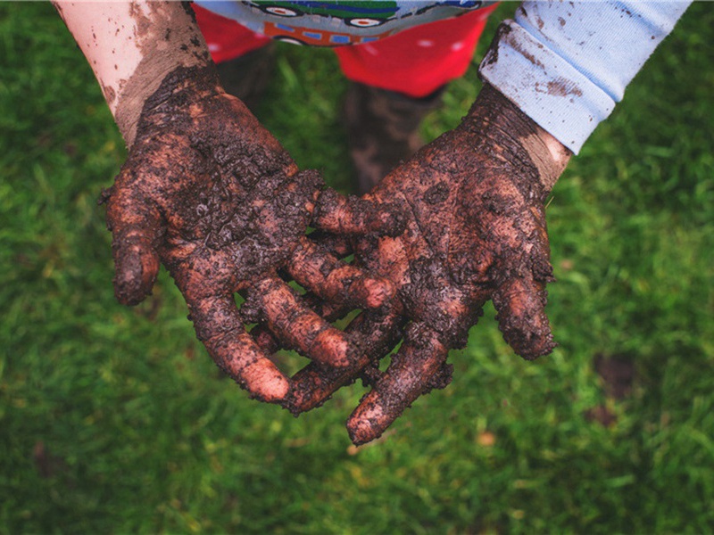 宠爱造句,宠爱怎么造句子(180句)