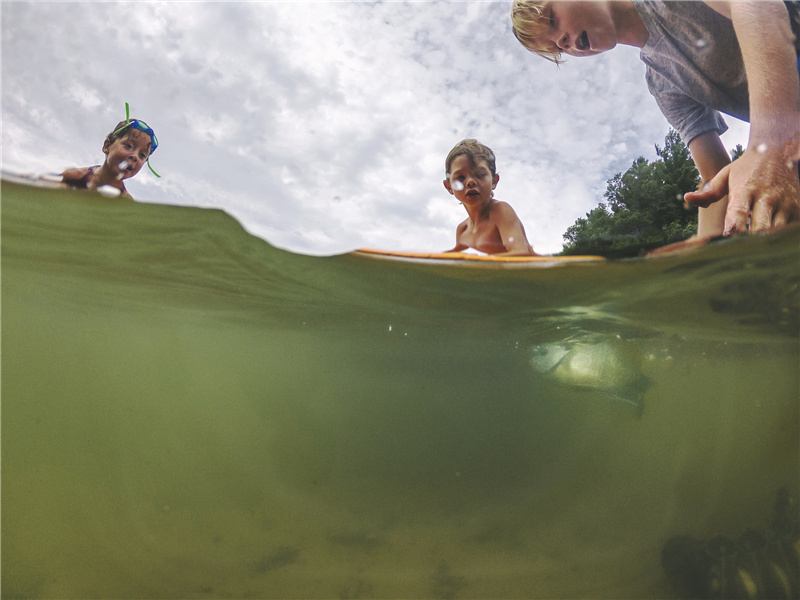 由我造句,用由我怎么造句子(170句)