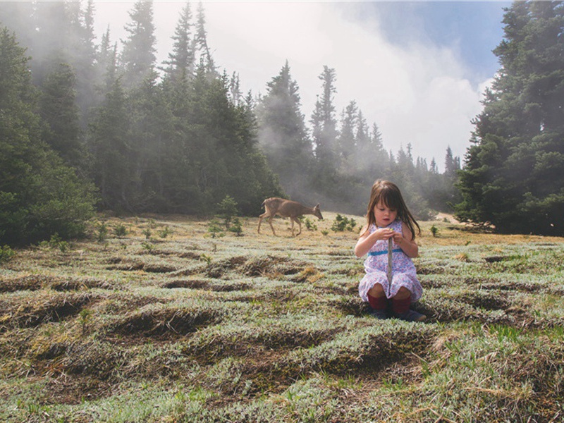 游行造句,游行怎么造句子(177句)
