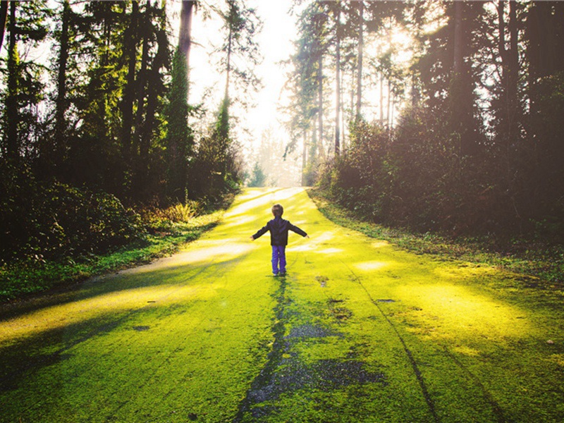 二层造句,用二层怎么造句子(180句)