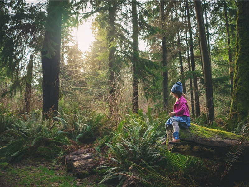 挑唆造句,用挑唆怎么造句子(27句)
