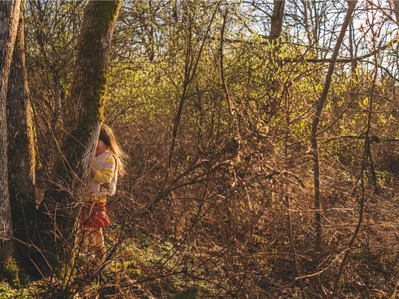 捕快造句,用捕快怎么造句子(58句)