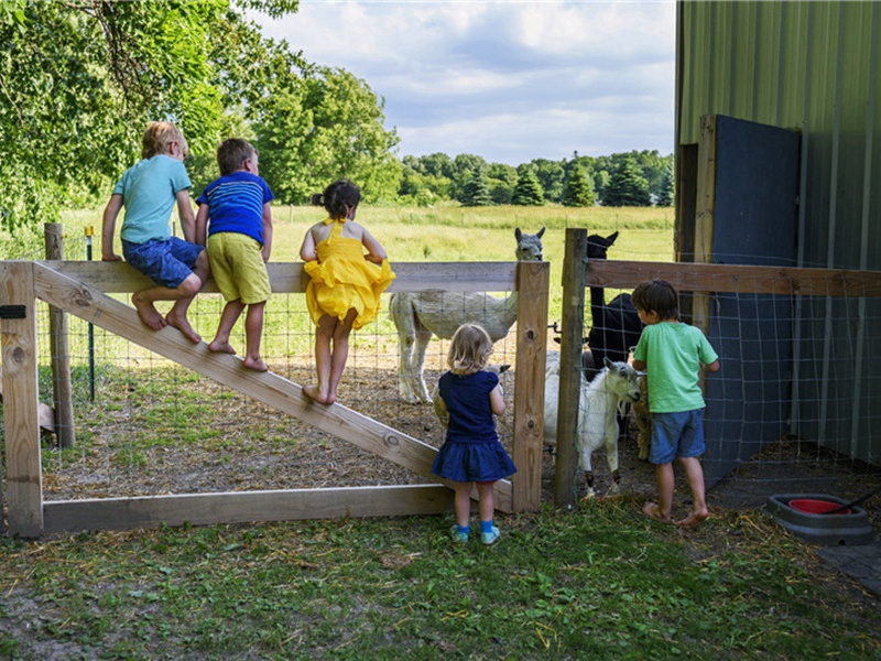 吃香造句,用吃香怎么造句子(158句)