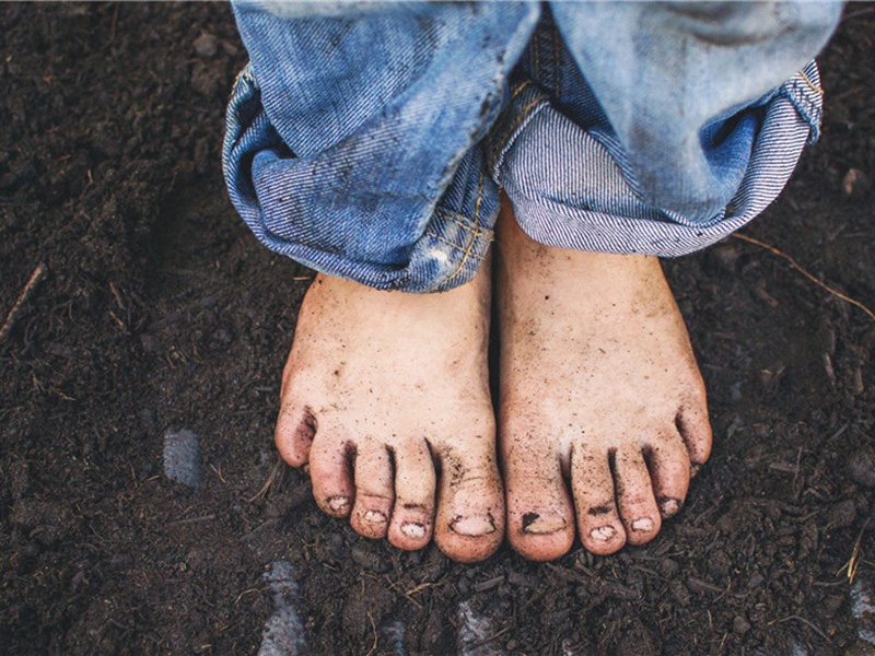 只愿意造句,用只愿意怎么造句子(37句)