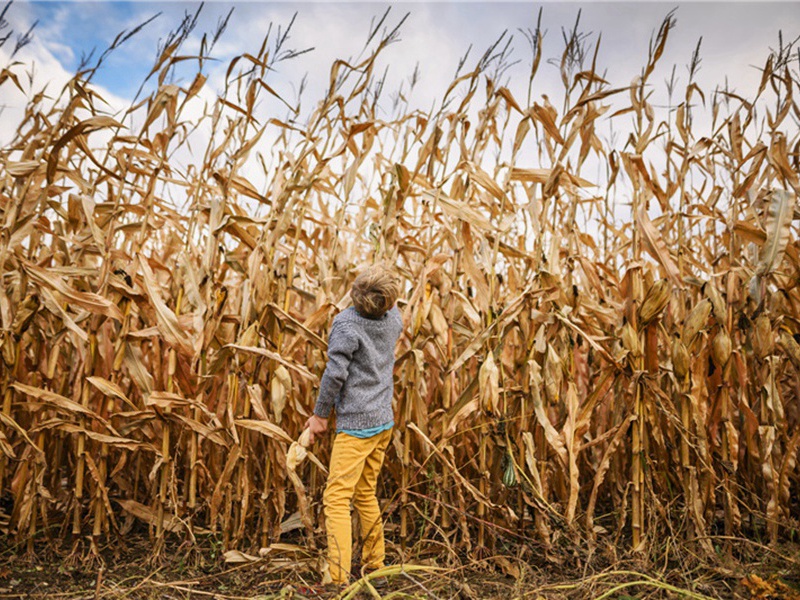 好过造句,用好过怎么造句子(163句)