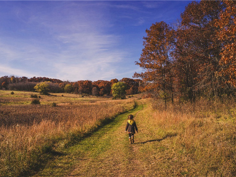 御剑造句,用御剑怎么造句子(62句)
