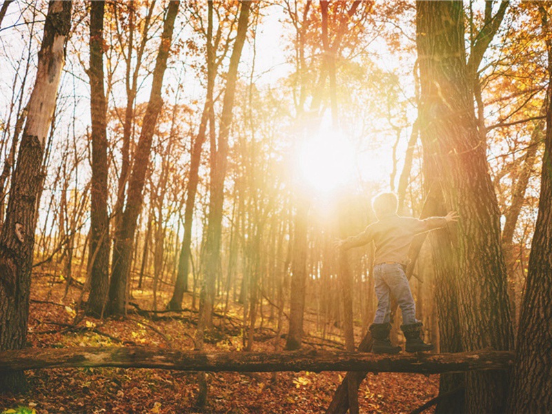 创口造句,用创口怎么造句子(48句)