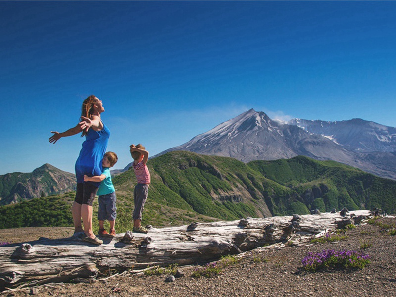 受到的造句,用受到的怎么造句子(180句)