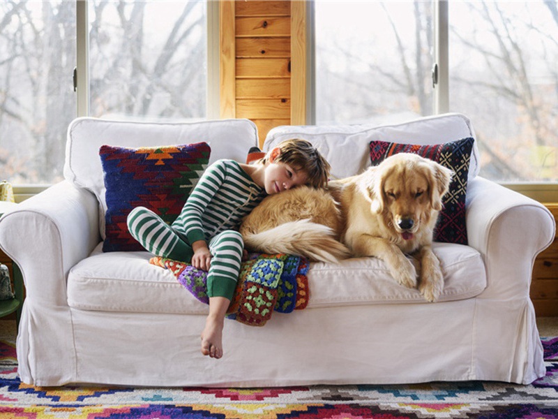 难求造句,用难求怎么造句子(180句)