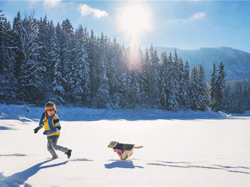后侧造句,用后侧怎么造句子(51句)