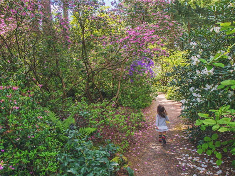 它为造句,用它为怎么造句子(162句)