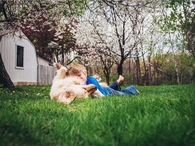 止跌造句,用止跌怎么造句子(29句)