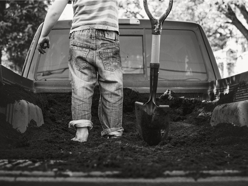 乐观的造句,用乐观的怎么造句子(180句)