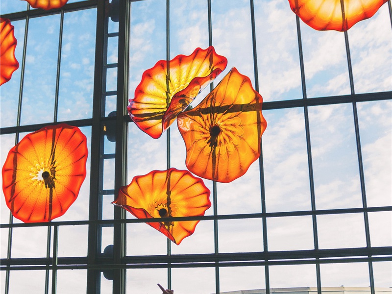 九州四海造句,用九州四海怎么造句子(20句)