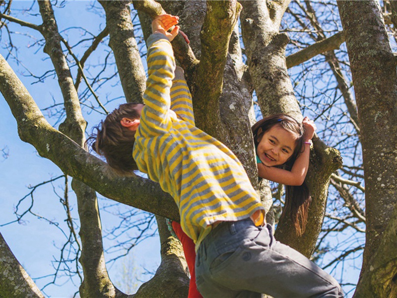 善罢造句,用善罢怎么造句子(70句)