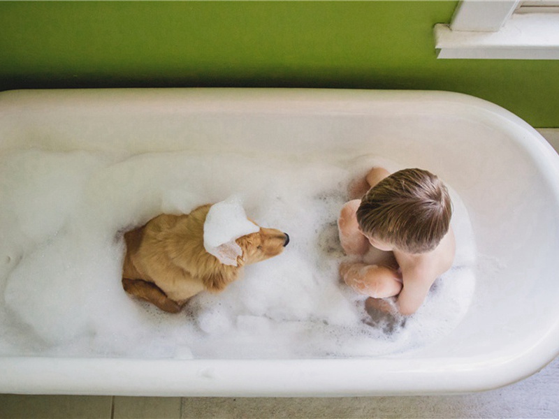 就应造句,用就应怎么造句子(180句)