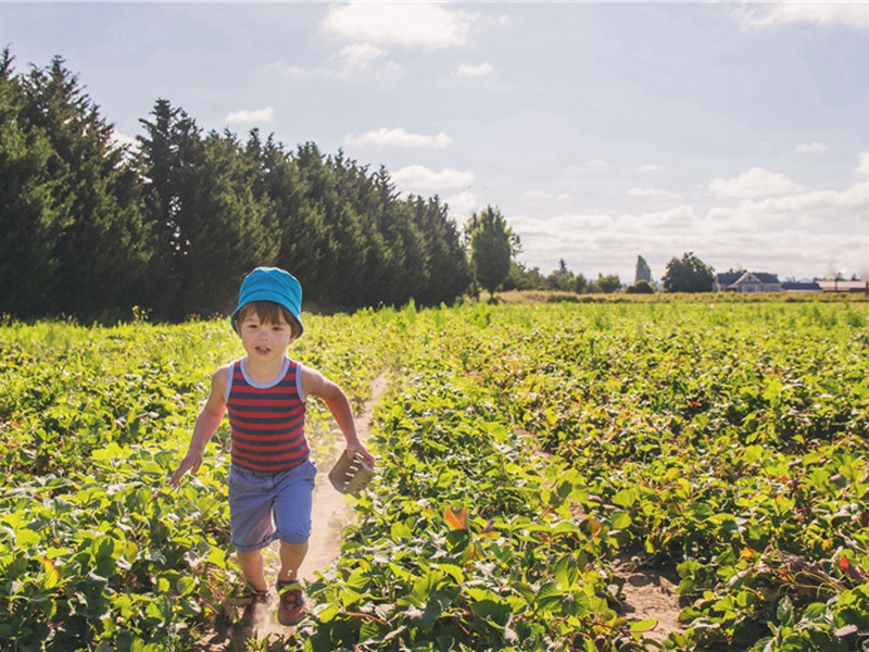 惊讶造句,用惊讶怎么造句子(180句)