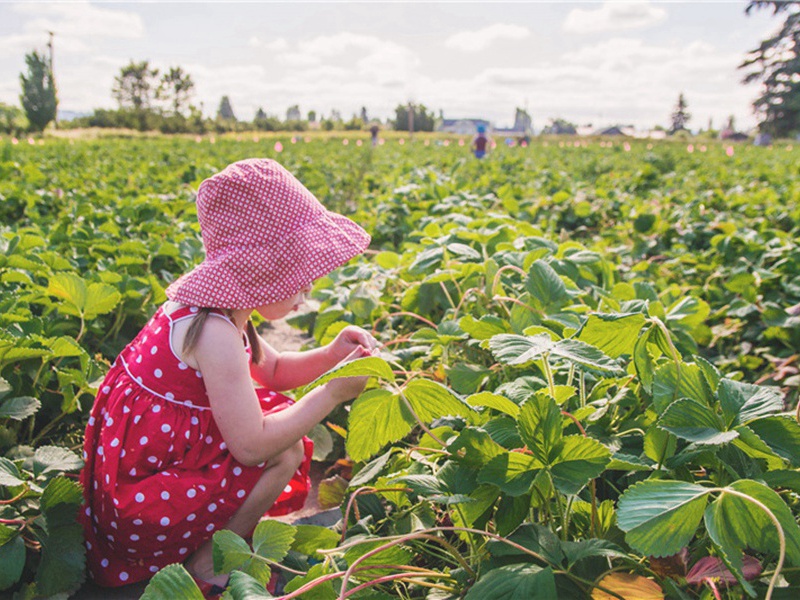 溃烂造句,用溃烂怎么造句子(62句)