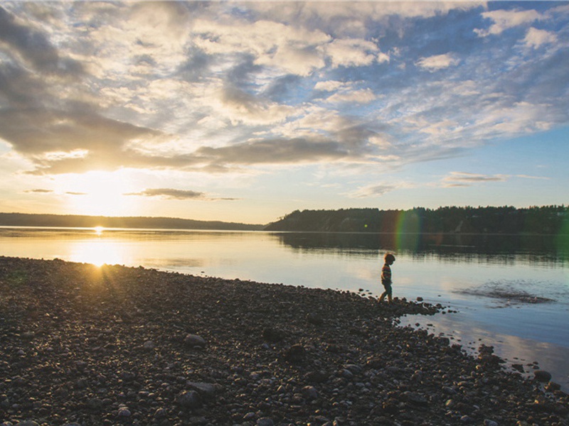 认真完成造句,用认真完成怎么造句子(31句)