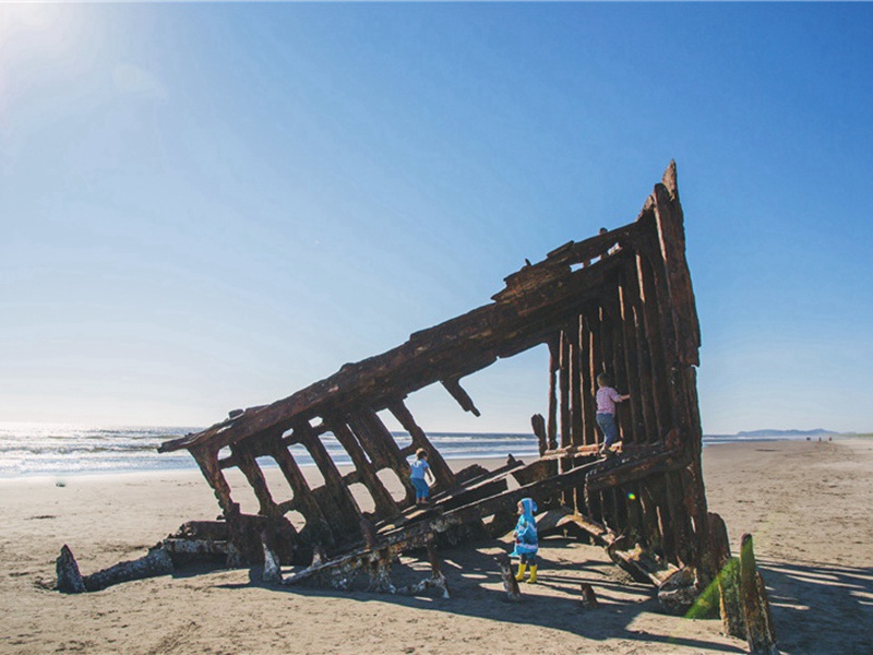 欣闻造句,用欣闻怎么造句子(36句)