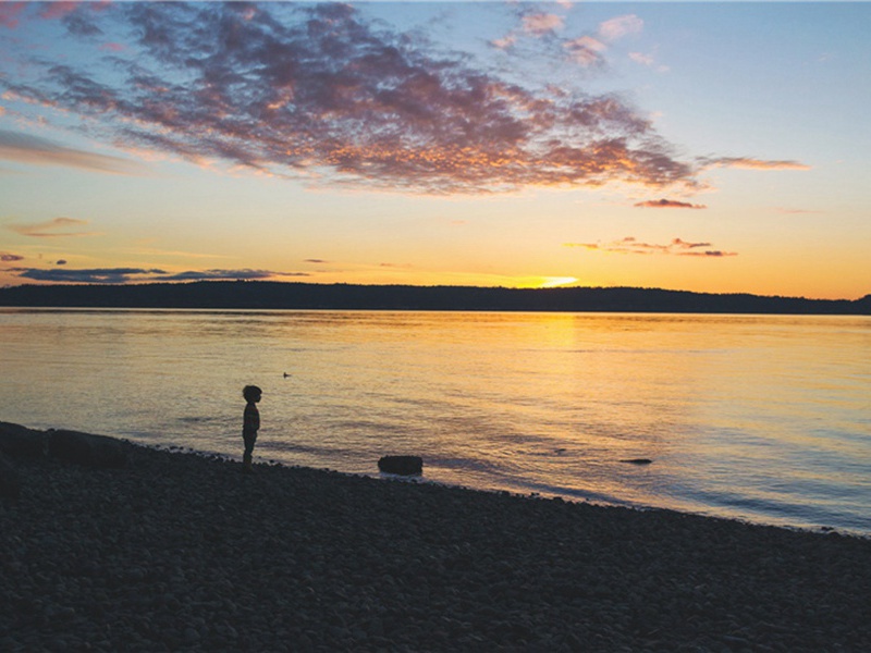 既来之,则安之造句,用既来之,则安之怎么造句子(27句)