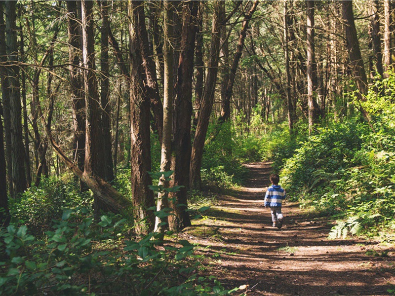蹒跚学步造句,用蹒跚学步怎么造句子(24句)