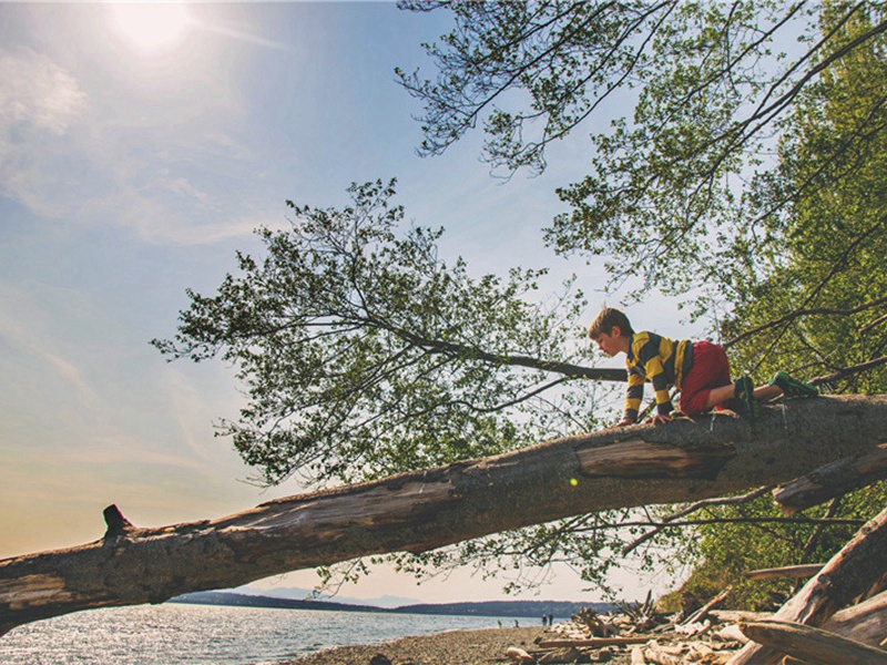 花苞造句,用花苞怎么造句子(131句)