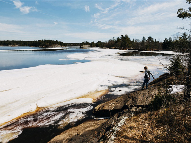 宣告造句,用宣告怎么造句子(180句)