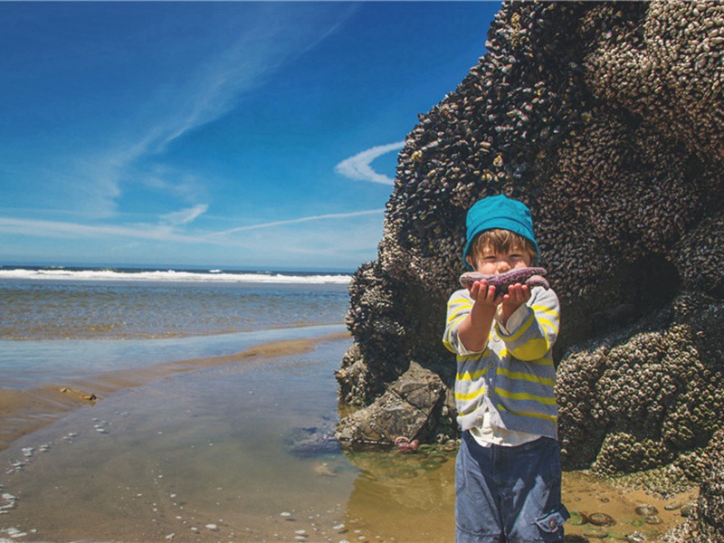 美目造句,用美目怎么造句子(77句)