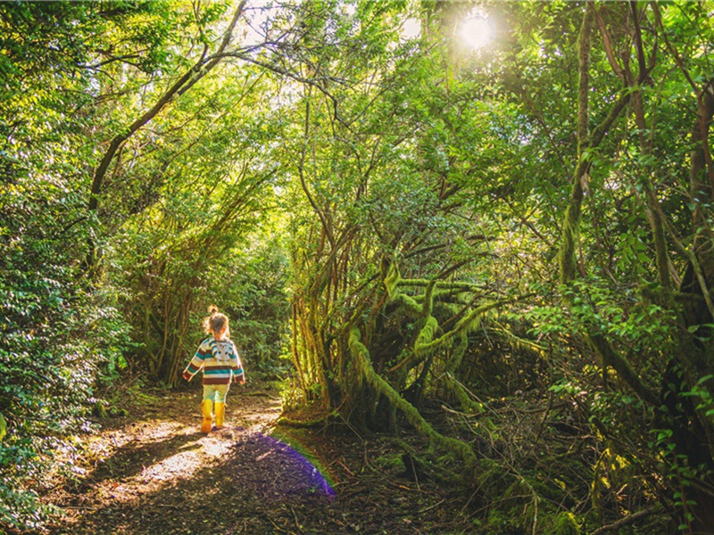 留有余地造句,用留有余地怎么造句子(28句)