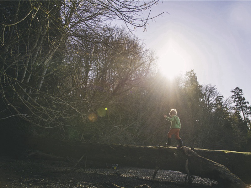 多处造句,用多处怎么造句子(180句)