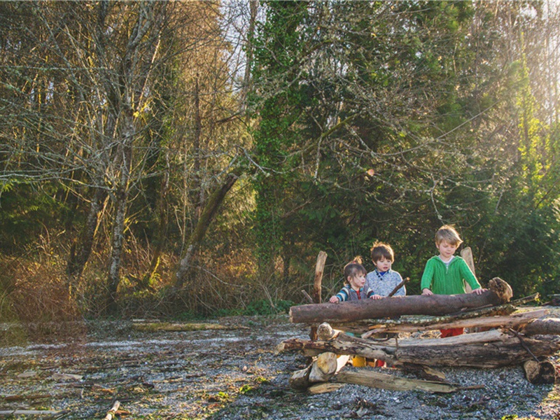 专政造句,用专政怎么造句子(78句)