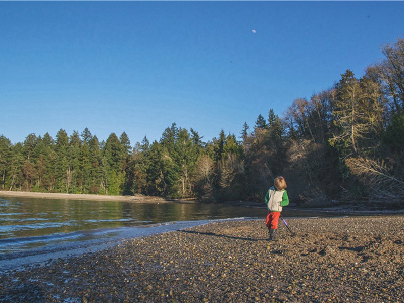 许是造句,用许是怎么造句子(180句)