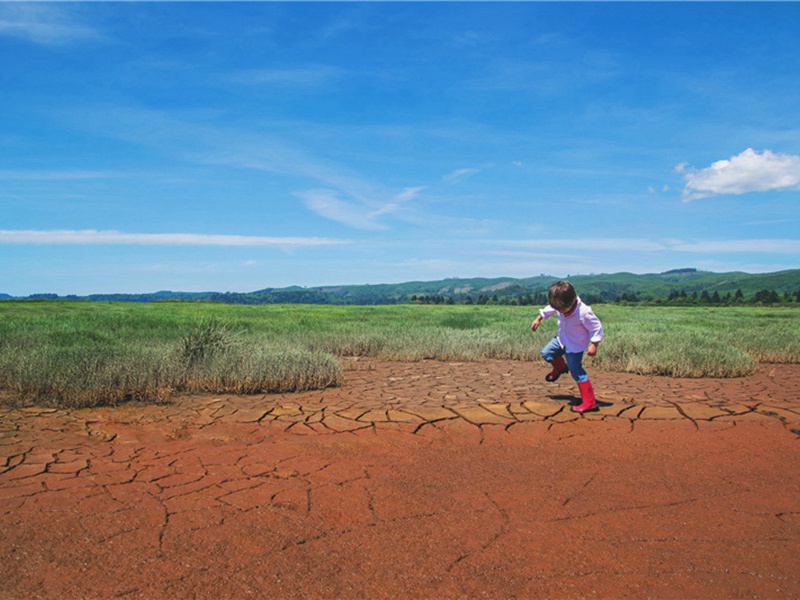 行行出状元造句,用行行出状元怎么造句子(36句)
