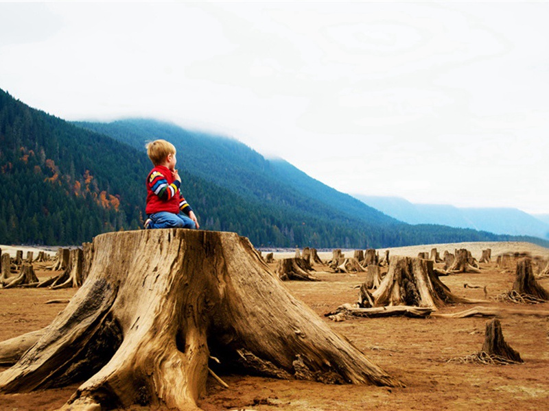 资料造句,用资料怎么造句子(156句)