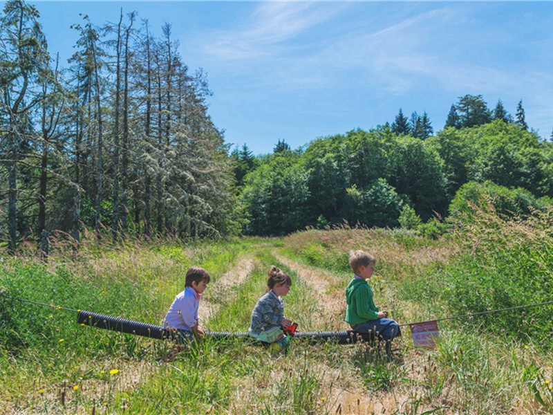 睡梦中造句,用睡梦中怎么造句子(148句)