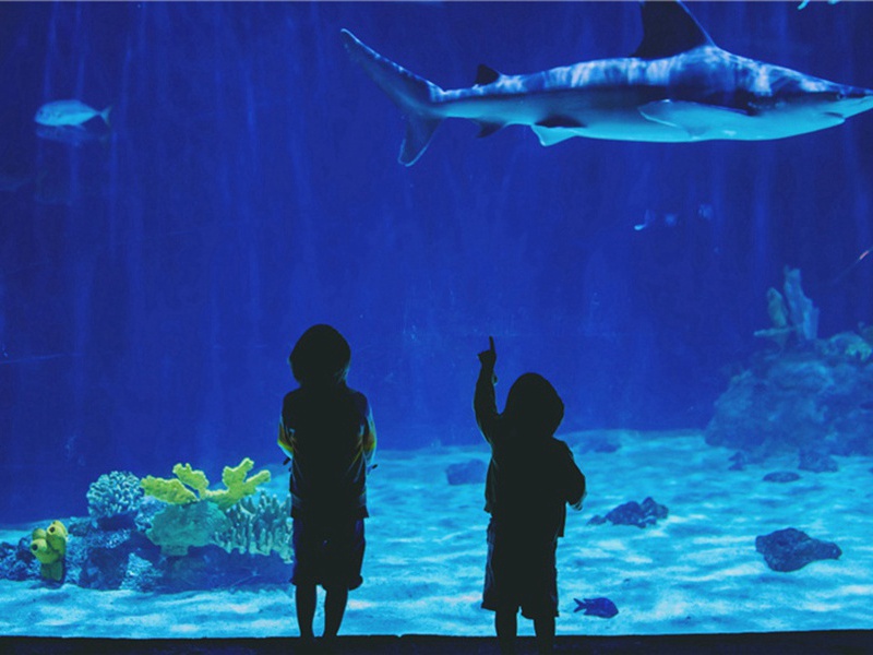 赛前造句,用赛前怎么造句子(180句)