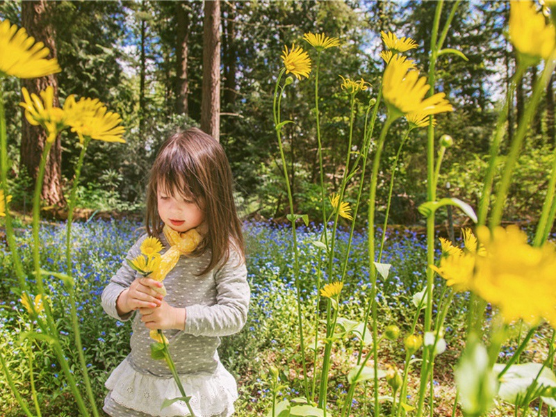 汇出造句,用汇出怎么造句子(42句)