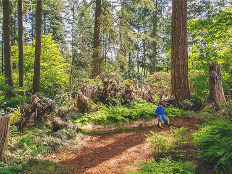 我与造句,用我与怎么造句子(150句)