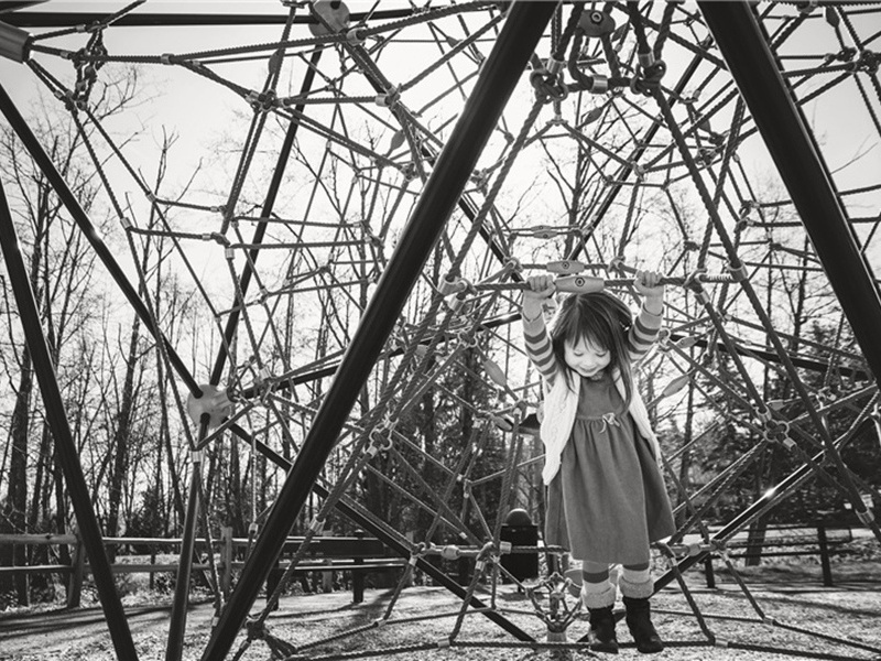 孺子牛造句,用孺子牛怎么造句子(31句)