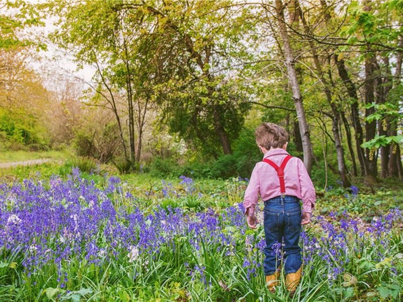不死造句,用不死怎么造句子(180句)
